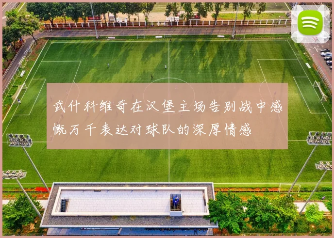 武什科维奇在汉堡主场告别战中感慨万千表达对球队的深厚情感