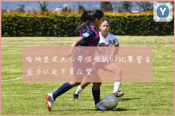 哈珀坚定决心带伤出战G5比赛誓言全力以赴不负众望
